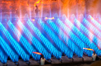 Bohenie gas fired boilers
